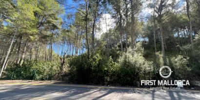 Inmobiliaria picture 0 Ref. Nº. 82450