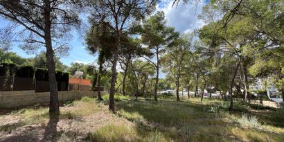 Inmobiliaria picture 0 Ref. Nº. 82192