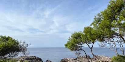 Real Estates picture 17 Ref. 82548