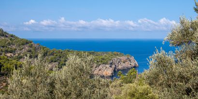 Inmobiliaria picture 17 Ref. Nº. 69199