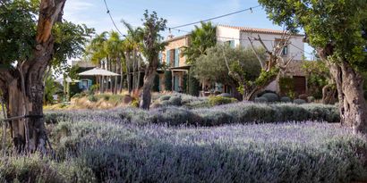 Real Estates picture 12 Ref. 82713