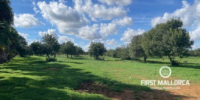 Inmobiliaria picture 3 Ref. Nº. 82786