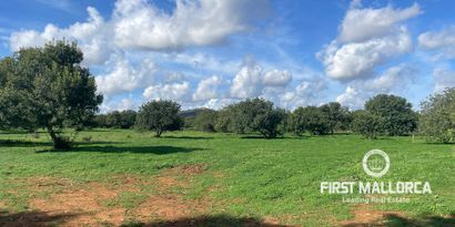 Inmobiliaria picture 5 Ref. Nº. 82786