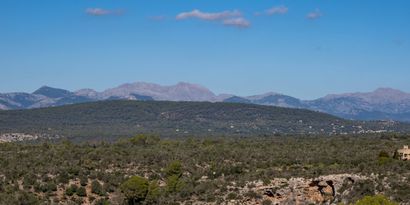 Real Estates picture 10 Ref. 80884