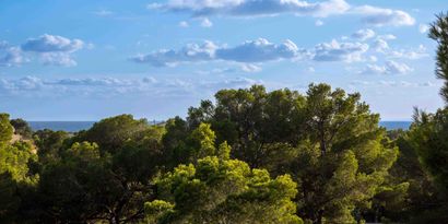 Immobilien picture 32 Ref. Nr. 82777