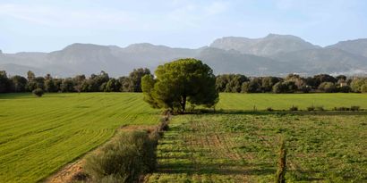Inmobiliaria picture 16 Ref. Nº. 81969