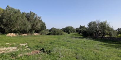 Real Estates picture 2 Ref. 82788