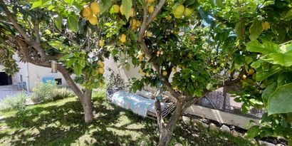 Real Estates picture 2 Ref. 82423