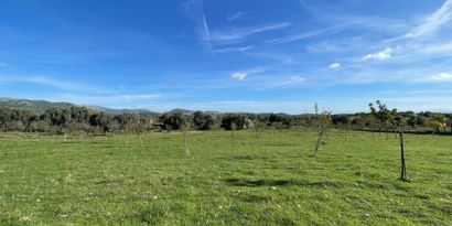 Inmobiliaria picture 4 Ref. Nº. 82897
