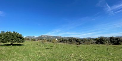 Inmobiliaria picture 5 Ref. Nº. 82897