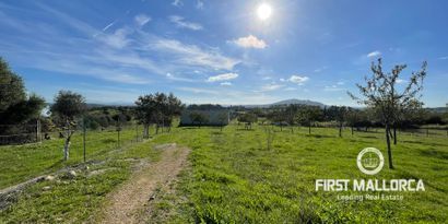 Inmobiliaria picture 0 Ref. Nº. 82897