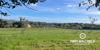 Inmobiliaria picture 1 Ref. Nº. 82897