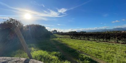 Real Estates picture 16 Ref. 82917