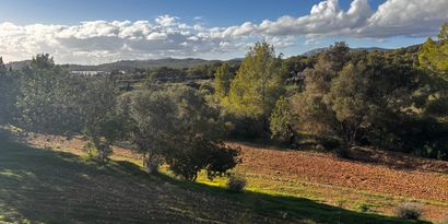 Inmobiliaria picture 16 Ref. Nº. 75756