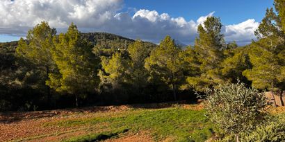 Inmobiliaria picture 15 Ref. Nº. 75756