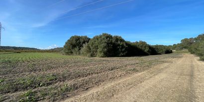 Inmobiliaria picture 3 Ref. Nº. 82727