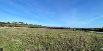 Inmobiliaria picture 0 Ref. Nº. 82811