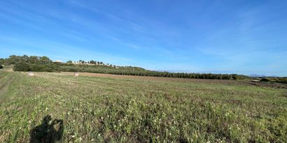 Inmobiliaria picture 5 Ref. Nº. 82811