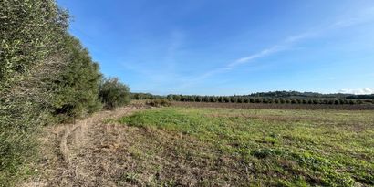 Inmobiliaria picture 2 Ref. Nº. 82811