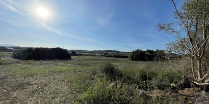 Inmobiliaria picture 3 Ref. Nº. 82811