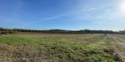 Inmobiliaria picture 1 Ref. Nº. 82811