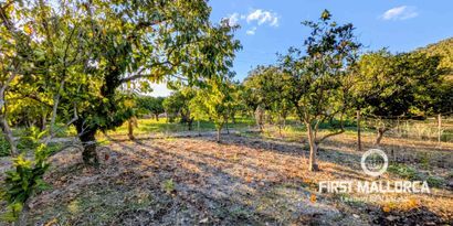 Inmobiliaria picture 5 Ref. Nº. 82999