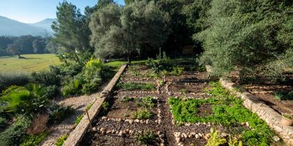 Inmobiliaria picture 21 Ref. Nº. 82946