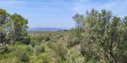 Real Estates picture 1 Ref. 81892