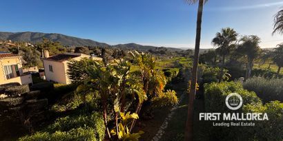 Real Estates picture 17 Ref. 83092