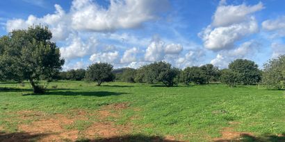 Inmobiliaria picture 0 Ref. Nº. 83118