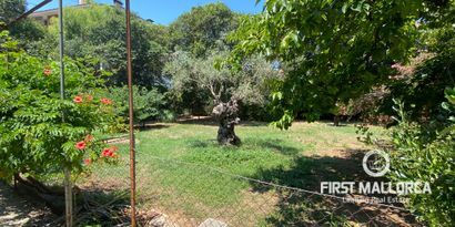 Inmobiliaria picture 7 Ref. Nº. 81730