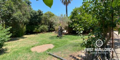 Inmobiliaria picture 8 Ref. Nº. 81730