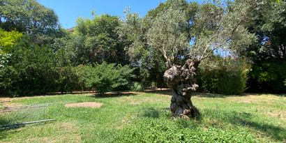 Inmobiliaria picture 9 Ref. Nº. 81730