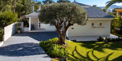 Inmobiliaria picture 0 Ref. Nº. 83146