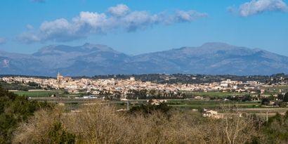 Real Estates picture 24 Ref. 75390