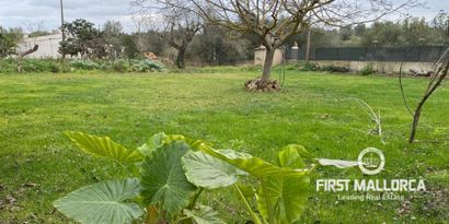 Inmobiliaria picture 23 Ref. Nº. 78936