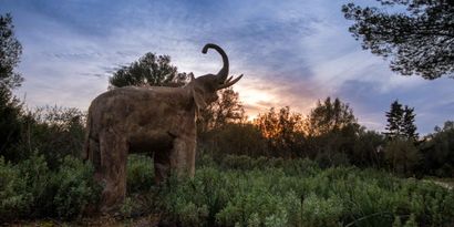 Inmobiliaria picture 27 Ref. Nº. 83033