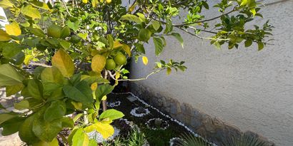 Inmobiliaria picture 26 Ref. Nº. 83404