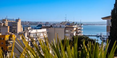 Real Estates picture 7 Ref. 83350