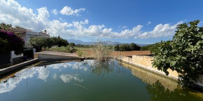 Real Estates picture 3 Ref. 80138