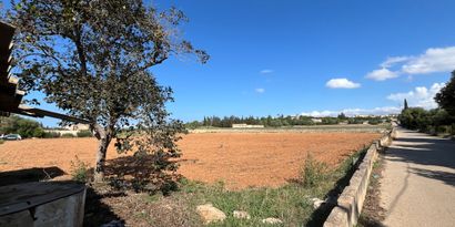 Real Estates picture 10 Ref. 80138