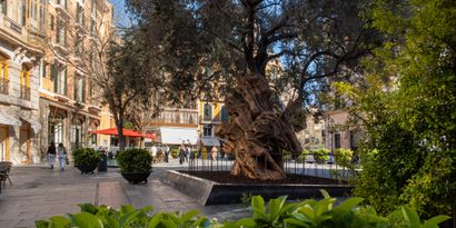 Real Estates picture 11 Ref. 83426