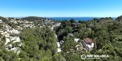 Inmobiliaria picture 4 Ref. Nº. 83466