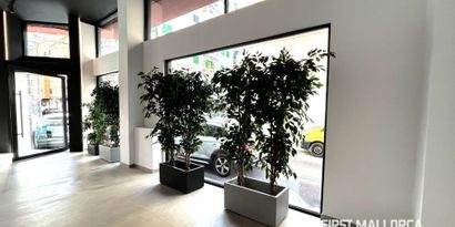 Inmobiliaria picture 2 Ref. Nº. 79454