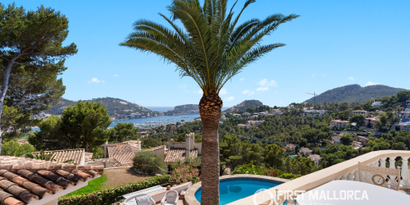 Real Estates picture 29 Ref. 81791