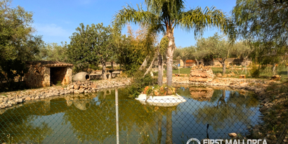Inmobiliaria picture 28 Ref. Nº. 83545