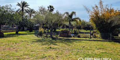 Inmobiliaria picture 31 Ref. Nº. 83545