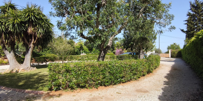 Inmobiliaria picture 15 Ref. Nº. 83566