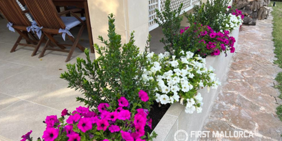 Inmobiliaria picture 35 Ref. Nº. 76236