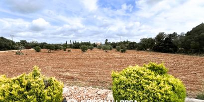Real Estates picture 20 Ref. R26931